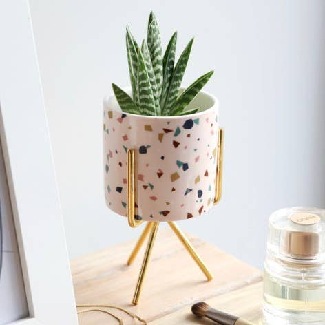 Terrazzo Mini Planter and Stand