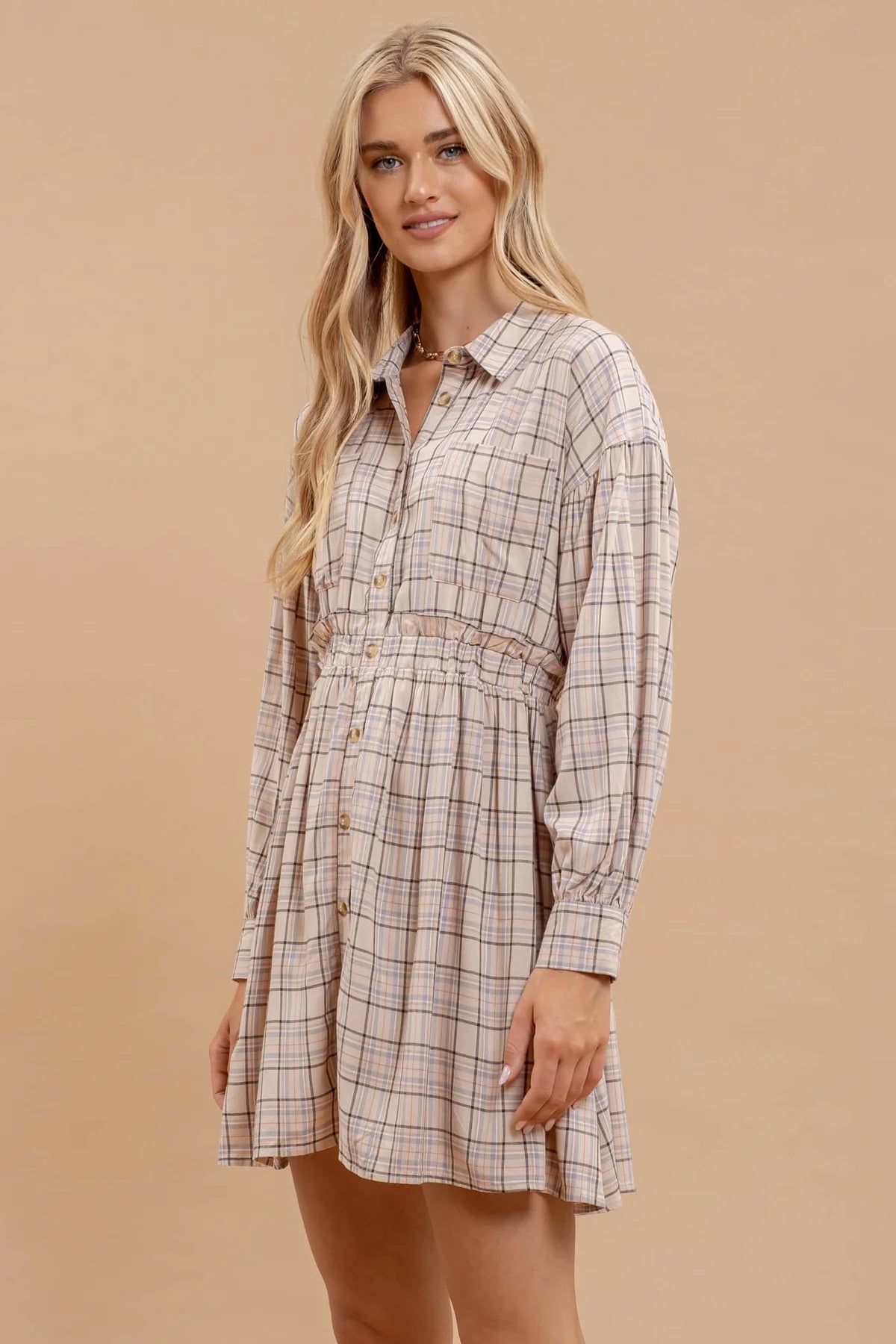 Plaid Button Down Dress