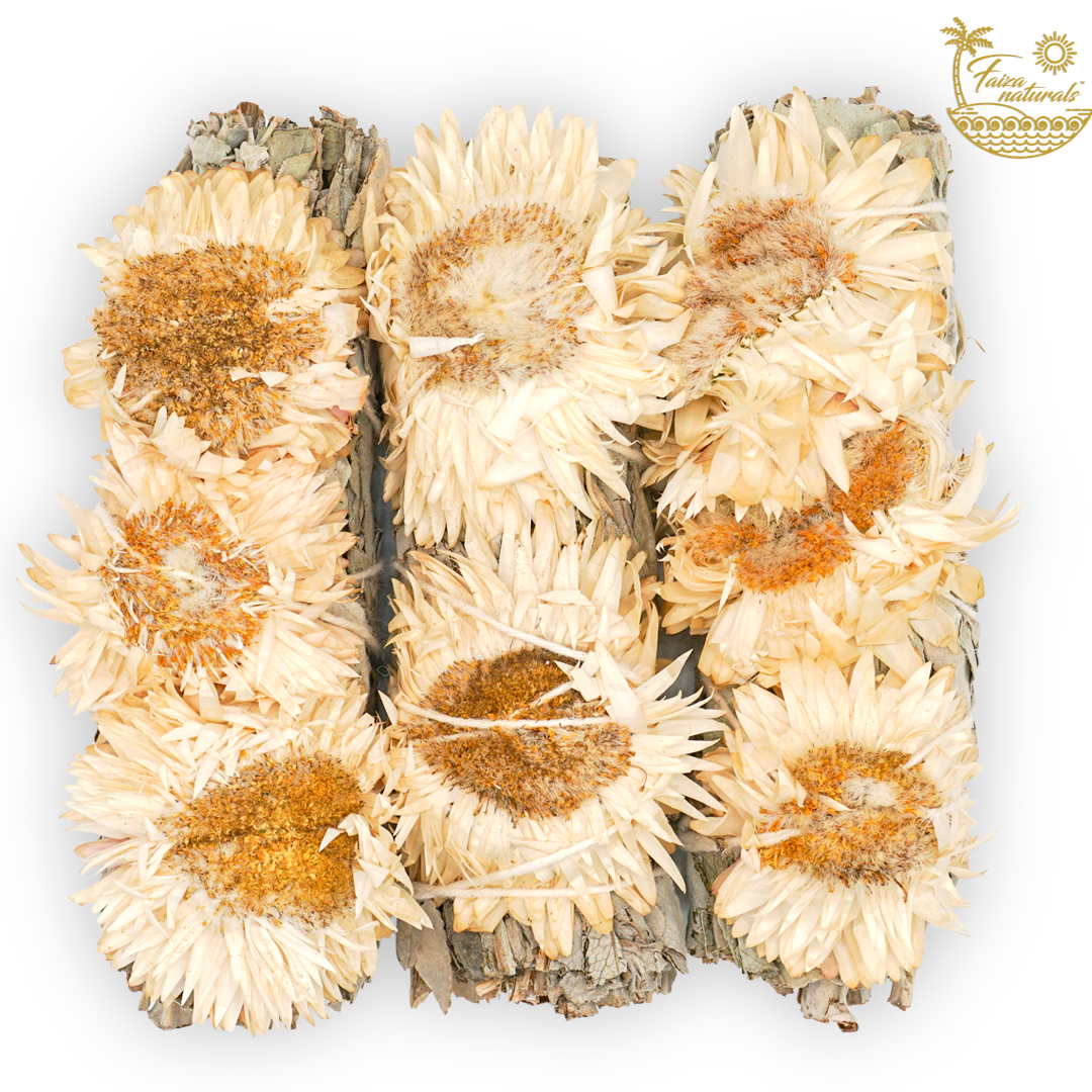 Albino Sunflower Sage Bundles